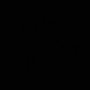 Meet your Posher, Marcus